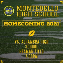 Homecoming Infographic for Football Game